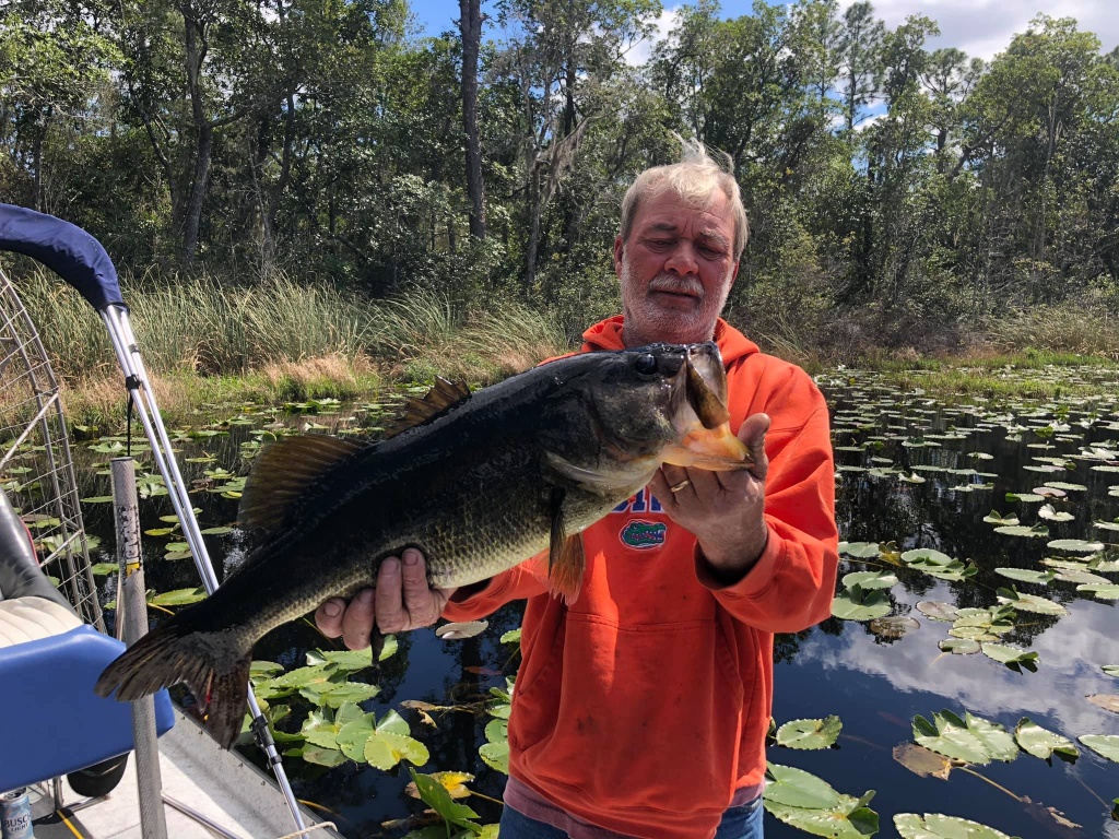 Largemouth Bass Caught in Ocklawaha FL